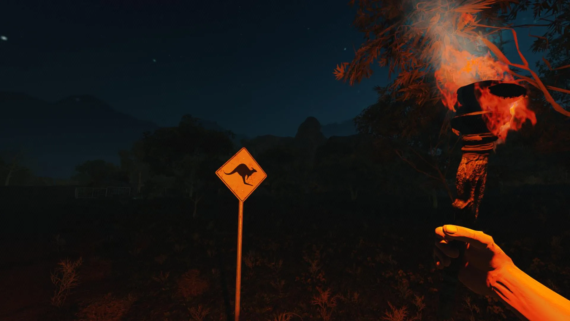 An in-game screenshot of a torch-bearing hand poised before a sign, illuminating the surroundings with its radiant flame. The sign is a yellow diamond with a black kangaroo silhouette.